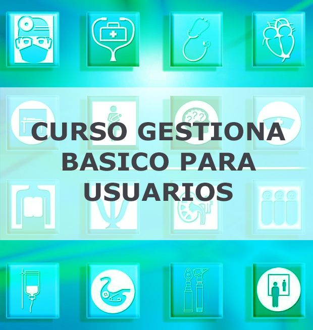 GESTIONA BÁSICO PARA USUARIOS