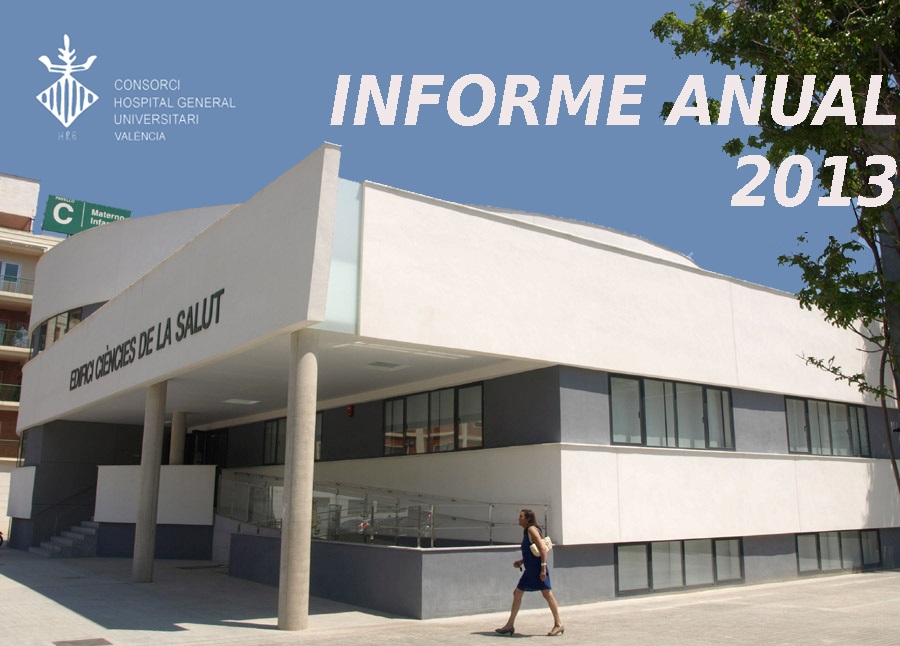 Informe 2013